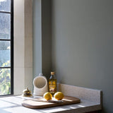 Farrow & Ball Pigeon No. 25