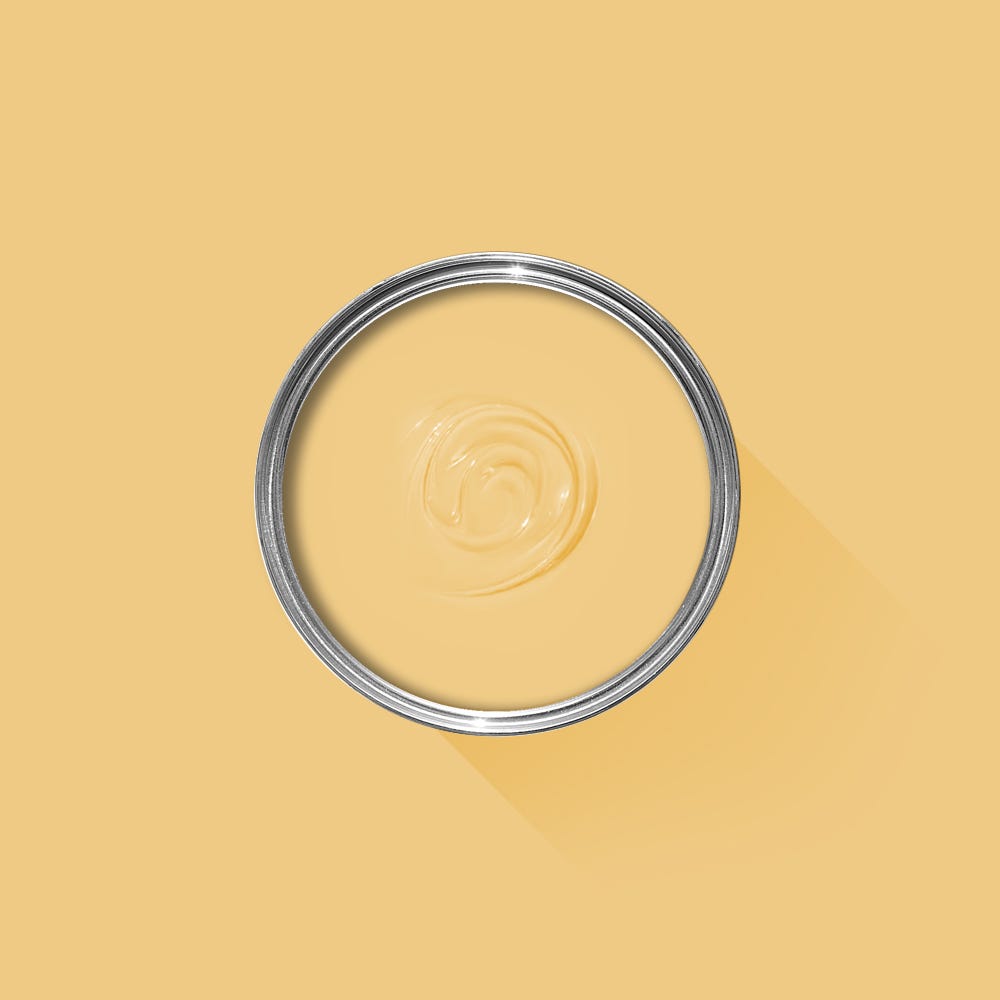 Farrow & Ball Yellow Ground No. 218